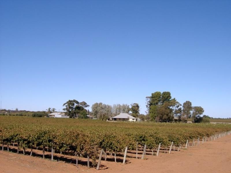 Lot100/728 Moss Road, Monash SA 5342