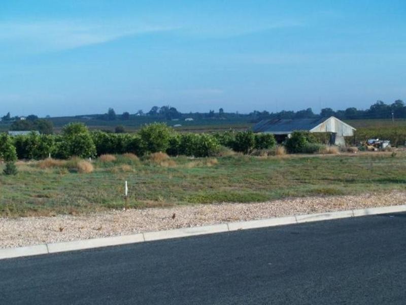 Prt Lot 303 Mary Starr Drive, Waikerie SA 5330