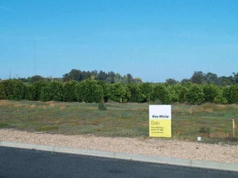 Prt Lot 303 Mary Starr Drive, Waikerie SA 5330