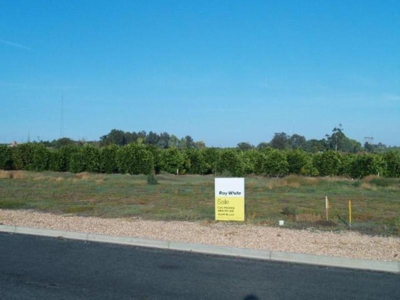 Prt Lot 303 Mary Starr Drive, Waikerie SA 5330