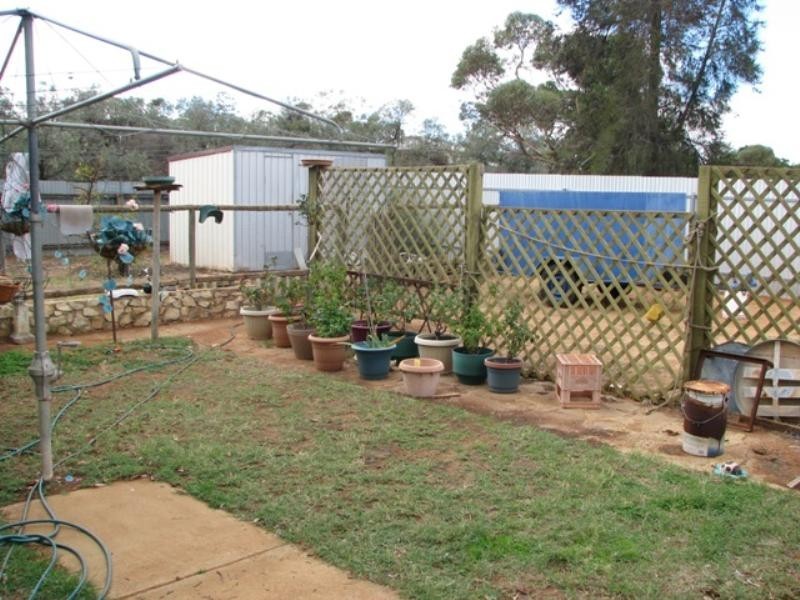 5 Phillips Road, Berri SA 5343