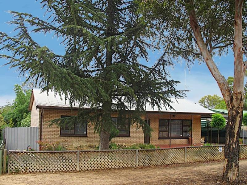 16 Lexia Street, Berri SA 5343