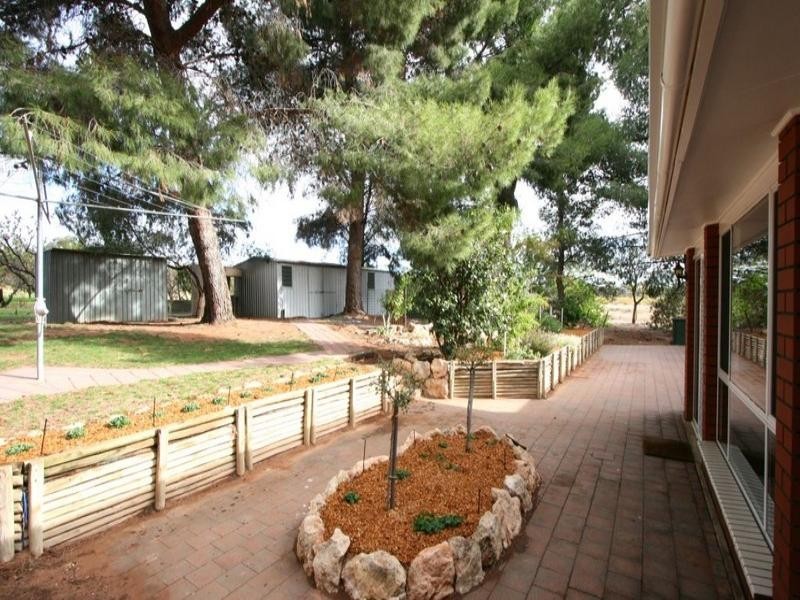 Sec 242 Armstrong Road, Waikerie SA 5330