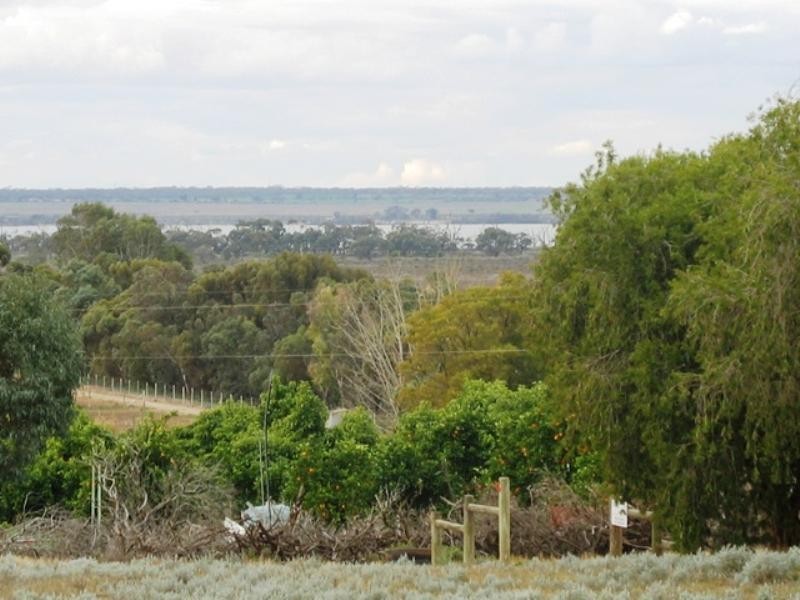 Sec 418 Cant Road, Barmera SA 5345