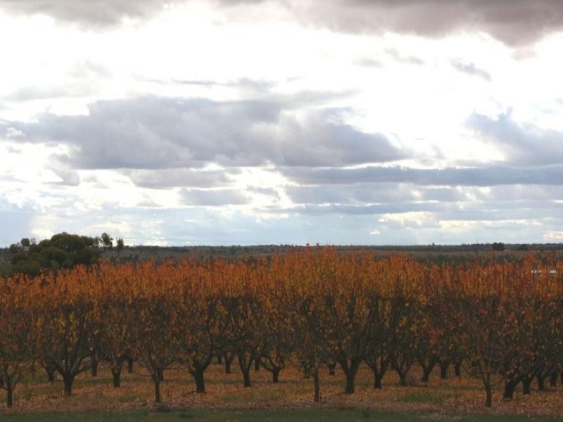 Sec 232 Sturt Highway, Waikerie SA 5330