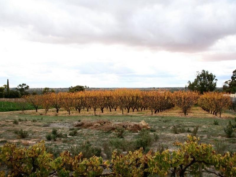 Sec 232 Sturt Highway, Waikerie SA 5330