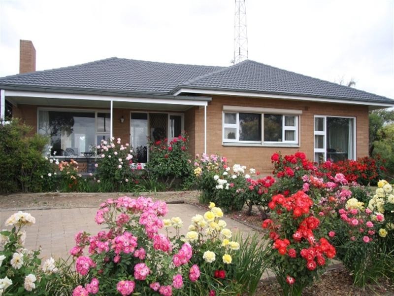 12964 Sturt Highway, Waikerie SA 5330