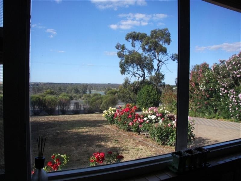 12964 Sturt Highway, Waikerie SA 5330