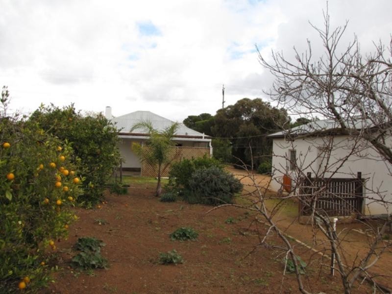 121 Paruna Road, Loxton SA 5333