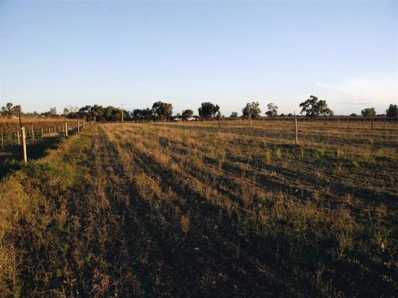 Sec 548 Sturt Highway, Barmera SA 5345