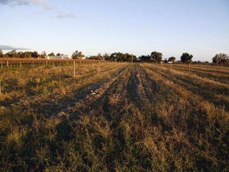 Sec 548 Sturt Highway, Barmera SA 5345