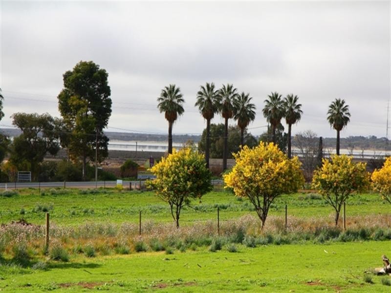 Sec 318 Sturt Highway, Barmera SA 5345