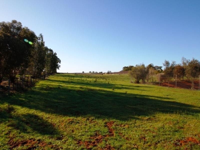 18 Traeger Street, Loxton SA 5333