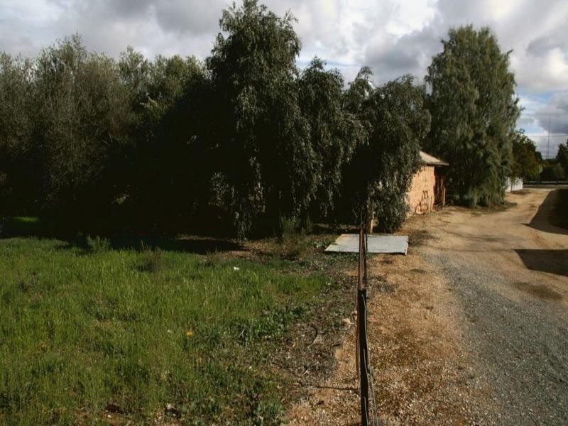 53 Tobruk Terrace, Loxton SA 5333