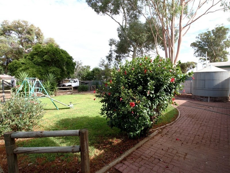4 Timor Street, Loxton North SA 5333