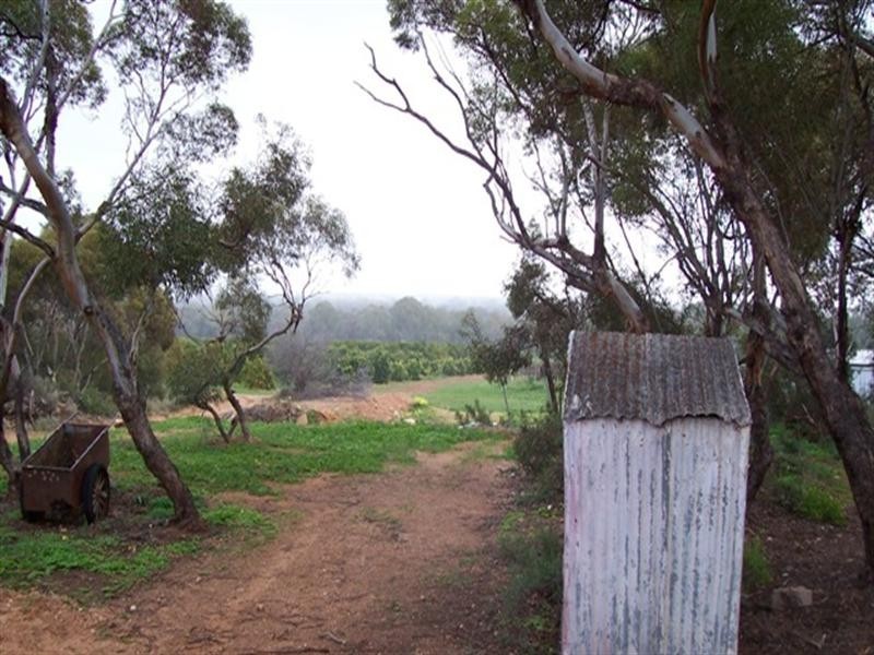 113 Holder Top Road, Waikerie SA 5330