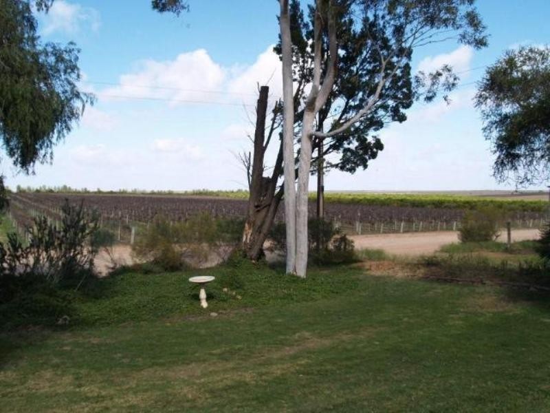 Lot 94 Loffler Road, Waikerie SA 5330