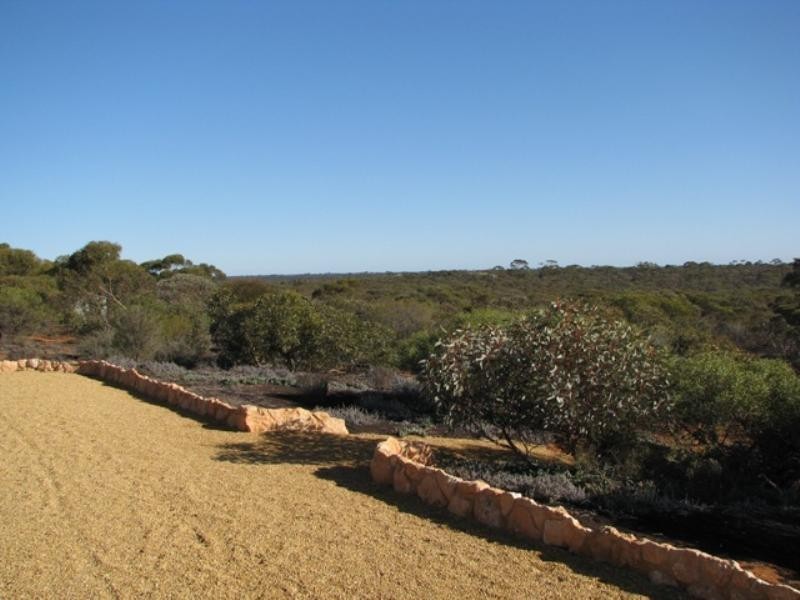 Lot 784 Davis Road, Winkie SA 5343