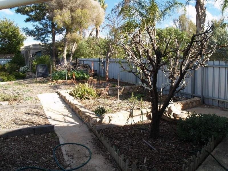 19 West Road, Waikerie SA 5330