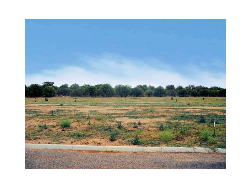 Lot 11 Gogell Road, Moorook SA 5332