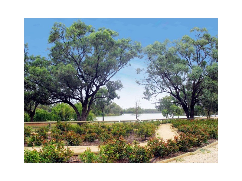 Lot 11 Gogell Road, Moorook SA 5332