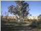 Lot 30 Swan Reach, Blanchetown SA 5357