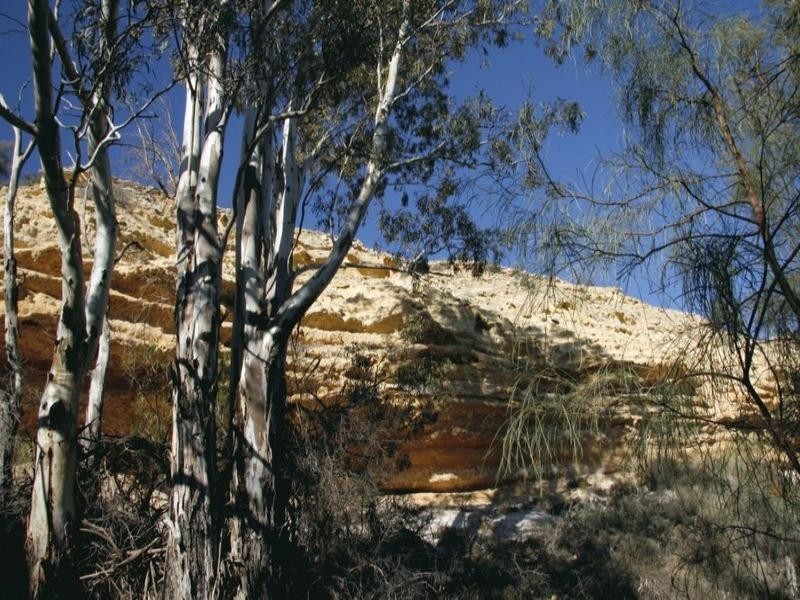 Lot 30 Swan Reach, Blanchetown SA 5357