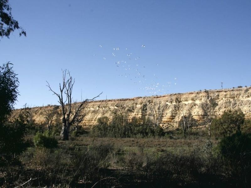 Lot 30 Swan Reach, Blanchetown SA 5357