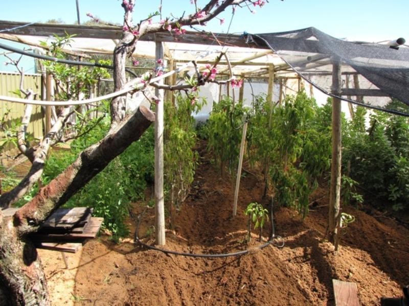 Lot 23 Nitschke Road, Berri SA 5343