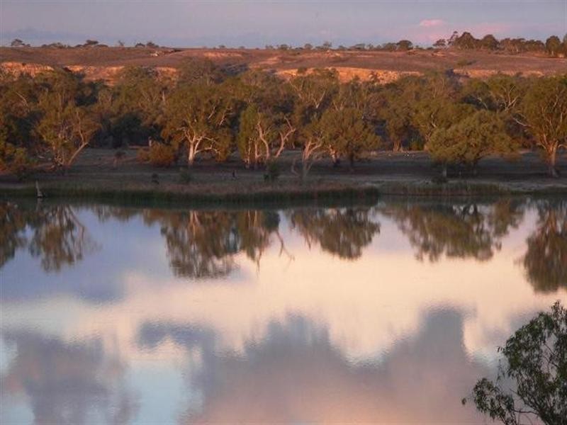 100 and117 Blanchetown Road, Morgan SA 5320