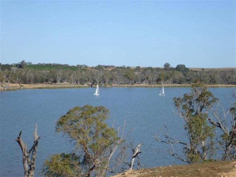 100 and117 Blanchetown Road, Morgan SA 5320