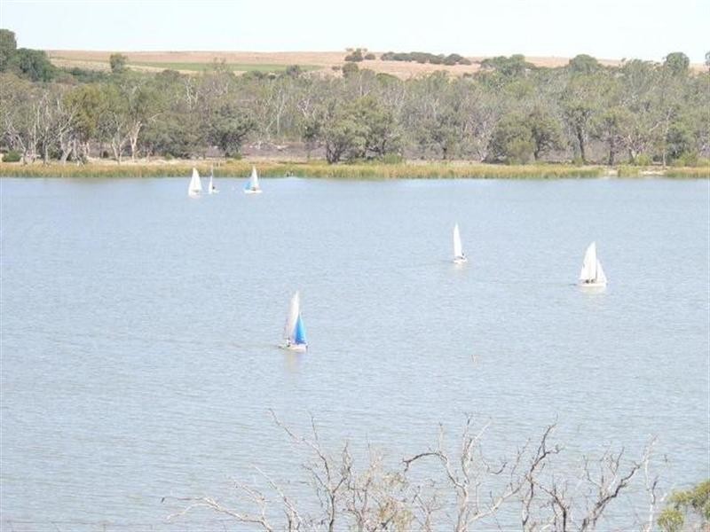 100 and117 Blanchetown Road, Morgan SA 5320