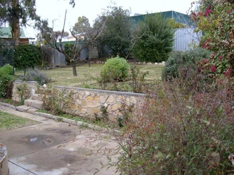 7 Coombe Terrace, Waikerie SA 5330