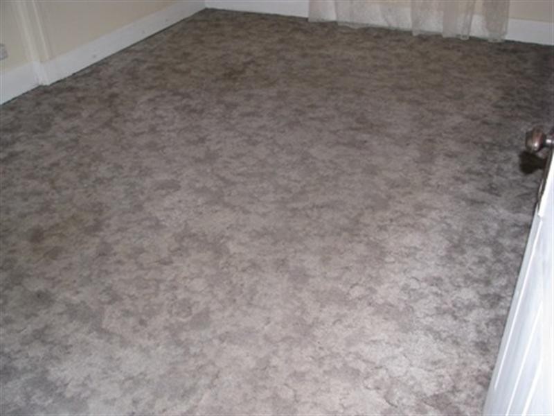 8 Lawrie Terrace, Waikerie SA 5330