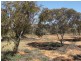 Lot 12 Mackey Road, Loxton SA 5333
