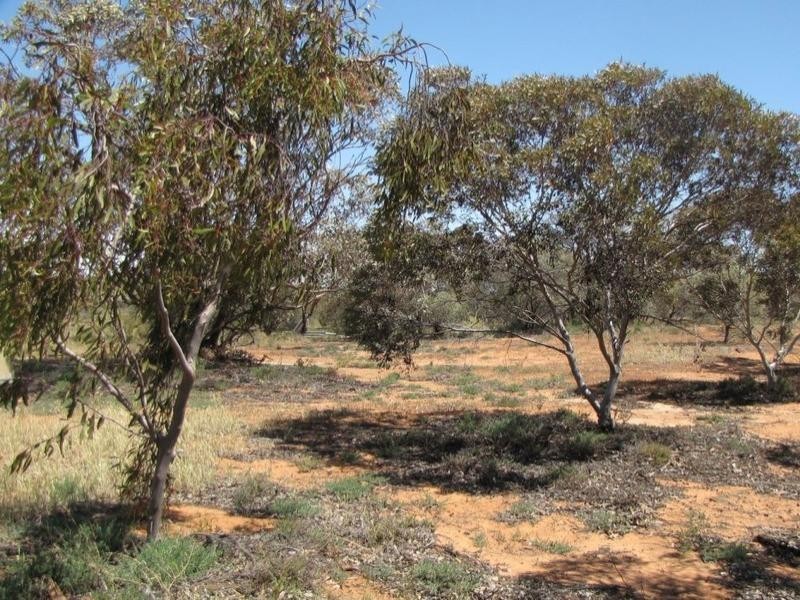 Lot 12 Mackey Road, Loxton SA 5333