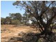 Lot 12 Mackey Road, Loxton SA 5333