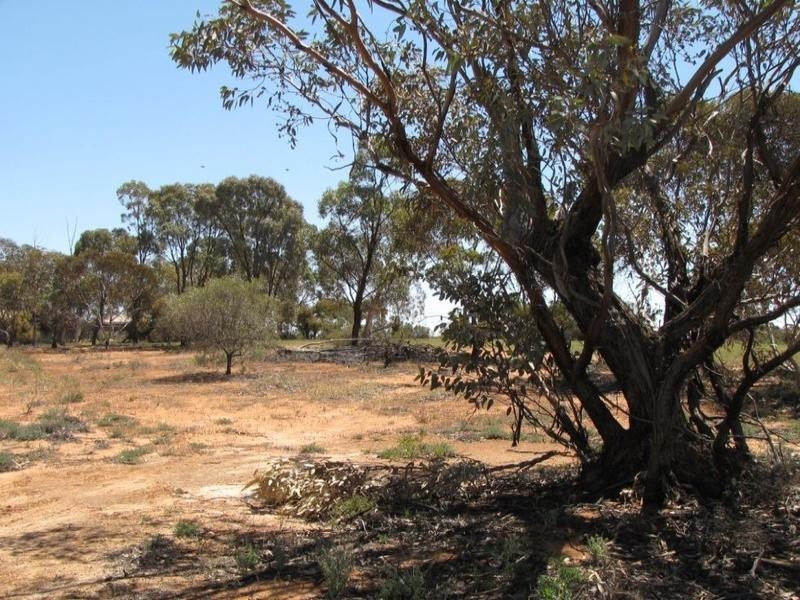 Lot 12 Mackey Road, Loxton SA 5333