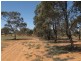 Lot 12 Mackey Road, Loxton SA 5333