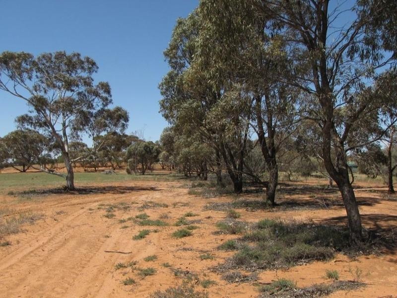 Lot 12 Mackey Road, Loxton SA 5333