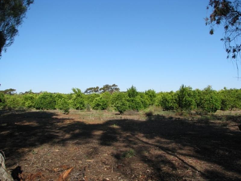 Lot 2 Thiele Road, Loveday SA 5345