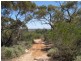 Lot 2 Thiele Road, Loveday SA 5345