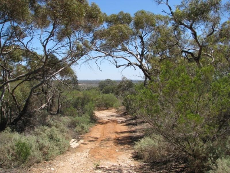Lot 2 Thiele Road, Loveday SA 5345