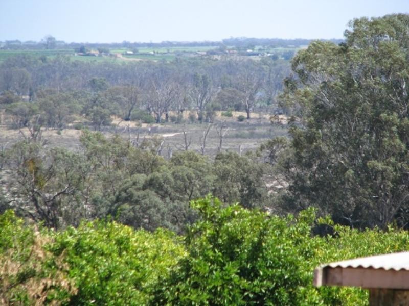 Lot 2 Thiele Road, Loveday SA 5345