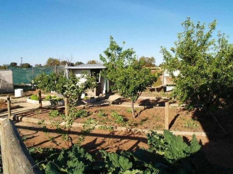 94 Checker Road, Waikerie SA 5330