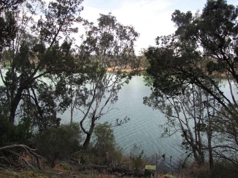 2807 Cadell Valley Road, Waikerie SA 5330