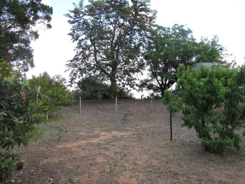 2807 Cadell Valley Road, Waikerie SA 5330