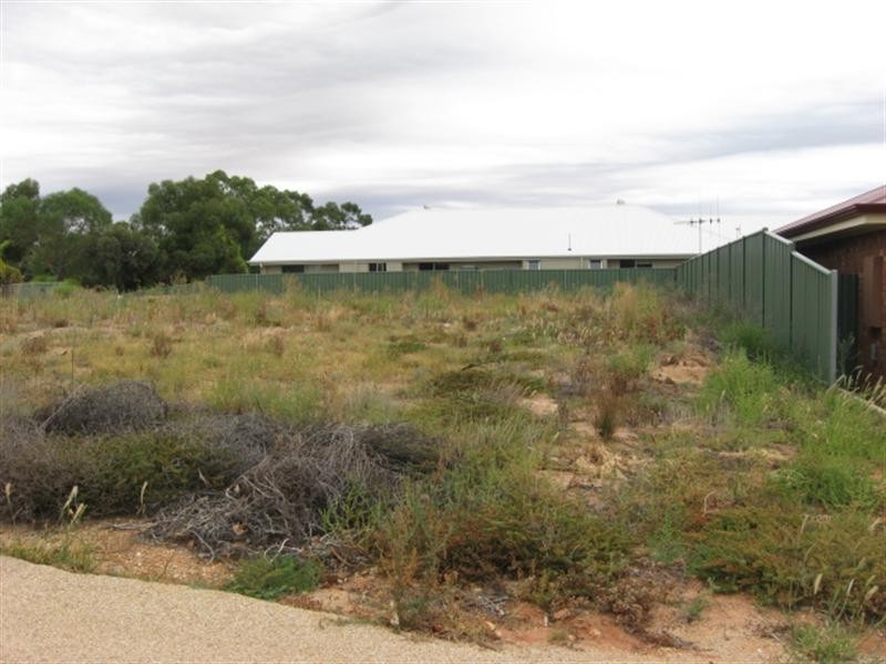 3 McEwen Drive, Loxton SA 5333