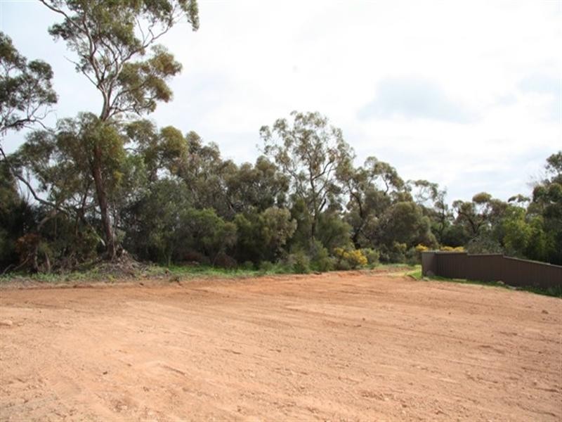 72 Derrick Street, Berri SA 5343