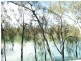 367 Pelican Point, Morgan SA 5320